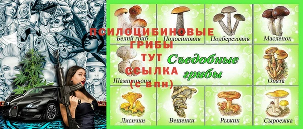 твердый Аркадак