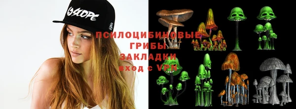 кокс Арсеньев