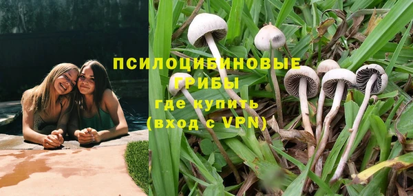 твердый Аркадак