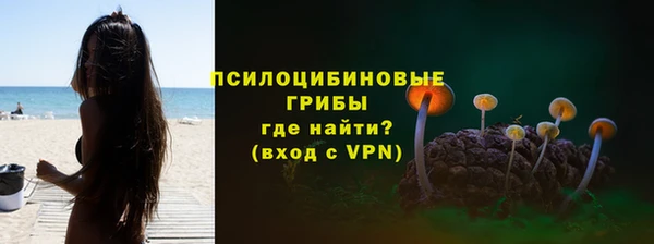 кокс Арсеньев