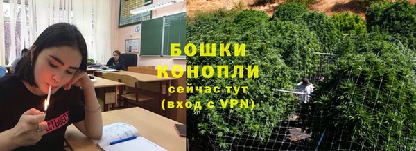 твердый Аркадак