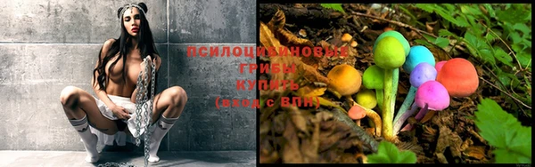 герыч Осинники