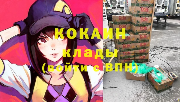 твердый Аркадак