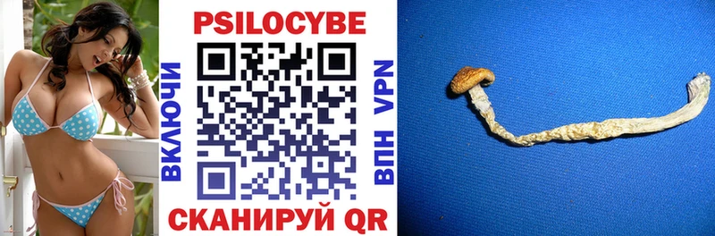 сколько стоит  Рошаль  Галлюциногенные грибы MAGIC MUSHROOMS 